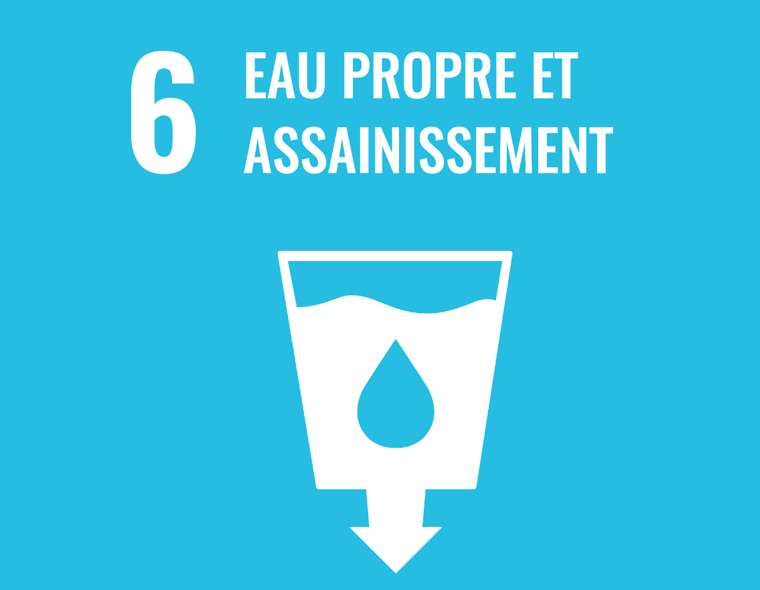 French UN goal 6