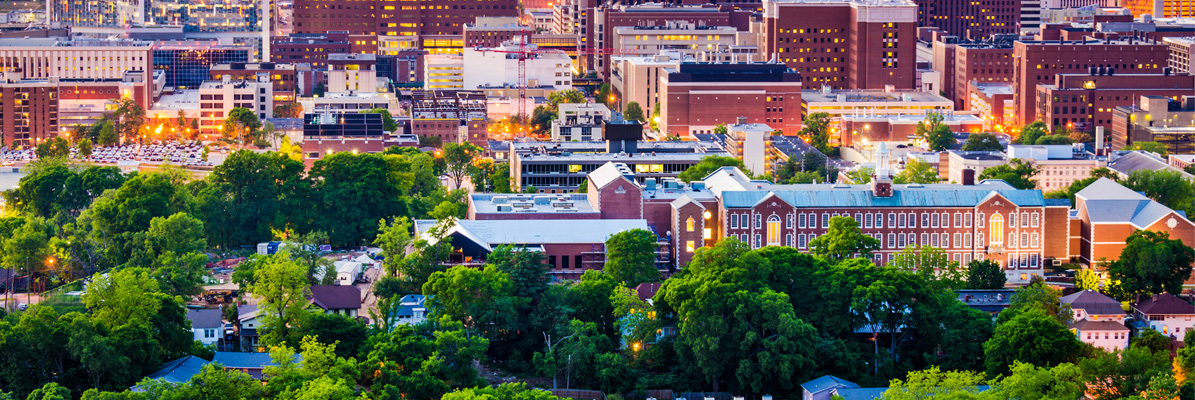 View of Alabama buildings from afar